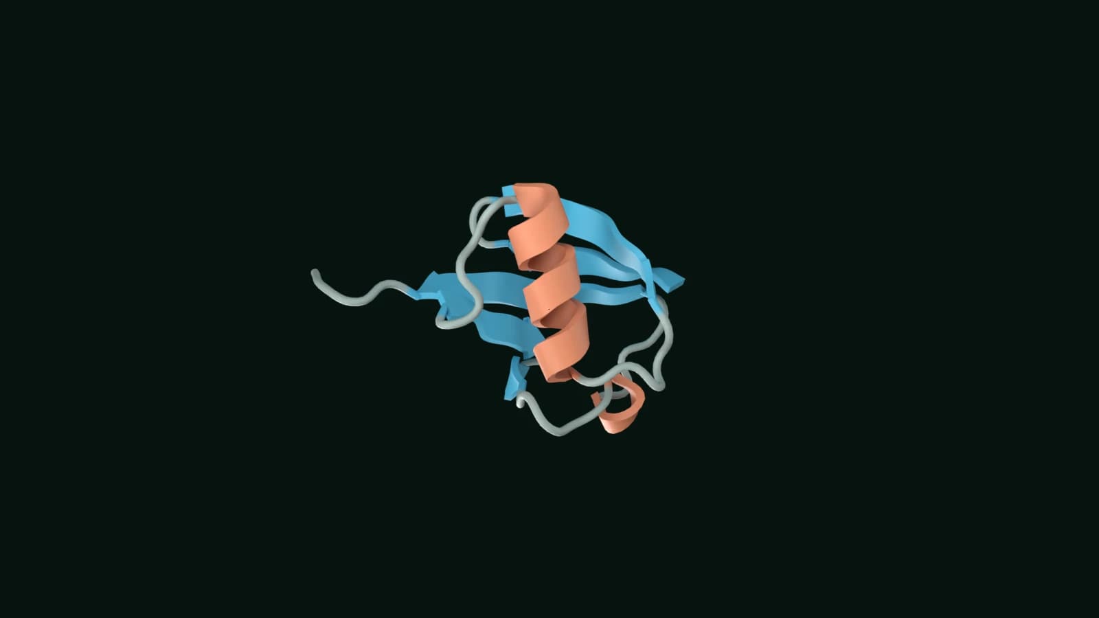 Experimental ubiquitin fold with coral helices, a cyan beta sheet, and grey connecting loops and C-terminal region.